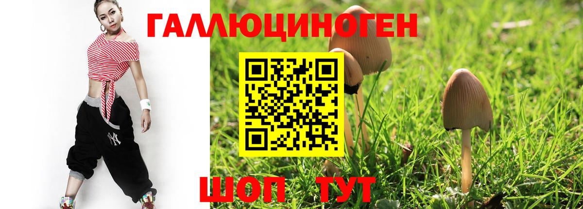 Галлюциногенные грибы Psilocybine cubensis  Вход с VPN  Михайловск  Галлюциногенные грибы MAGIC MUSHROOMS 